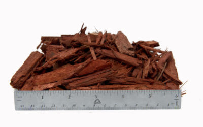 Mulch – Sunburst Red