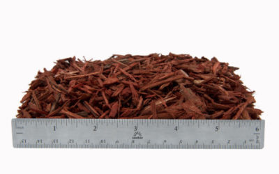 Mulch – Sunburst Mini