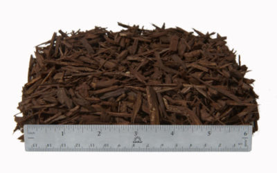 Mulch – Mahogany Mini